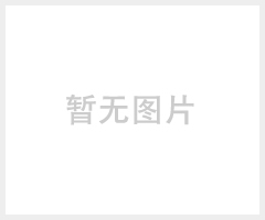 天车操作手柄意大利GG十孔双排手电门PLB10K